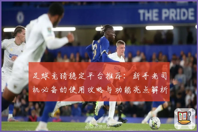 足球竞猜稳定平台推荐:新手老司机必备的使用攻略与功能亮点解析